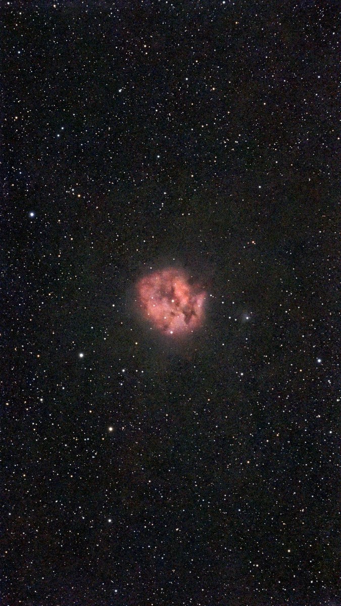 C 19