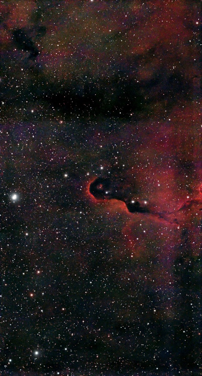 IC 1396