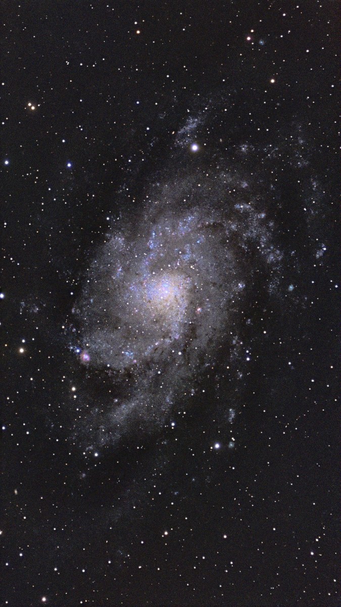 M 33