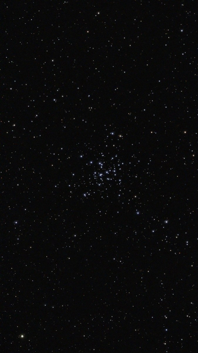 M 36