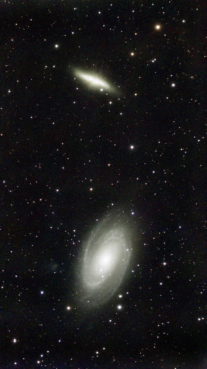 M 81
