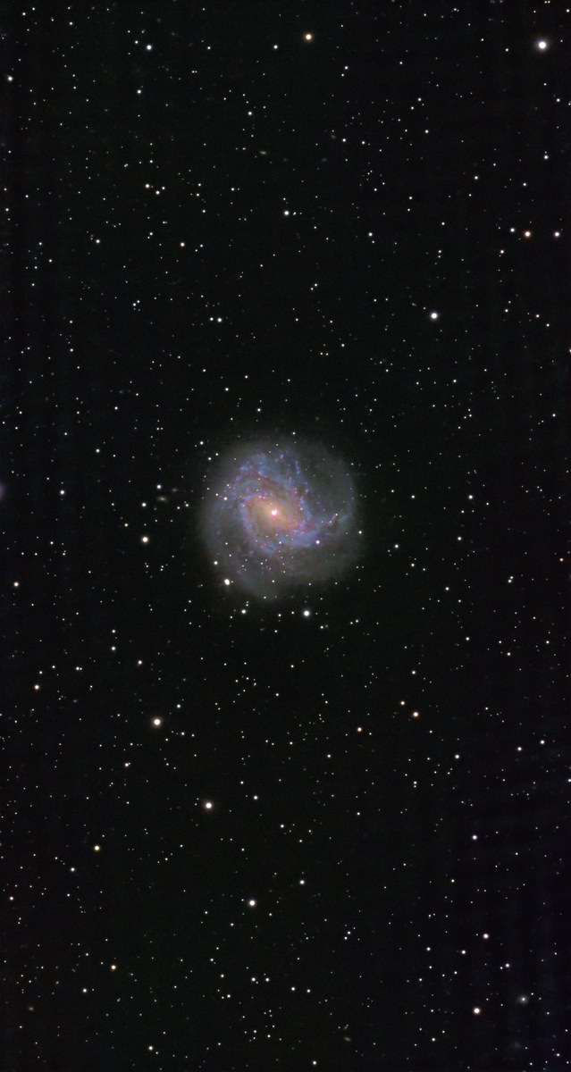 M 83