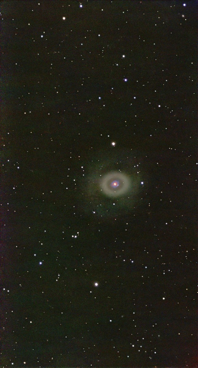 M 94
