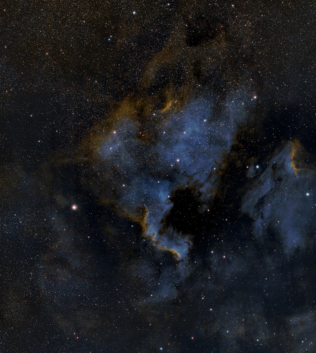 NGC 7000